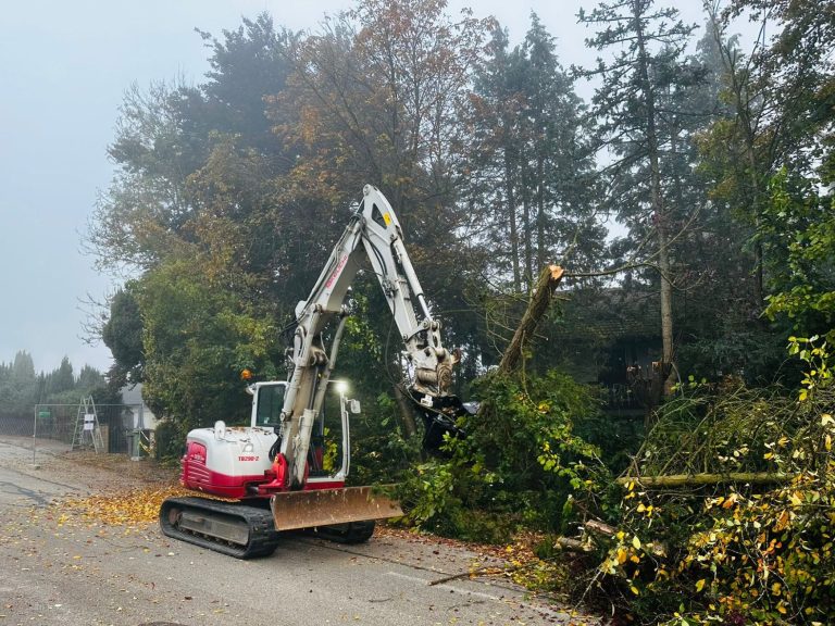 Knickpflege Gemeinde Bruckberg Kronthaler Gammelsdorf Sturmschaden Baumschneiden