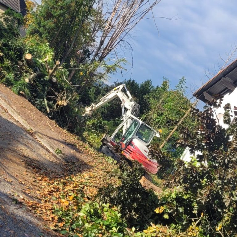 Knickpflege Gemeinde Bruckberg Kronthaler Gammelsdorf Sturmschaden Baumschneiden