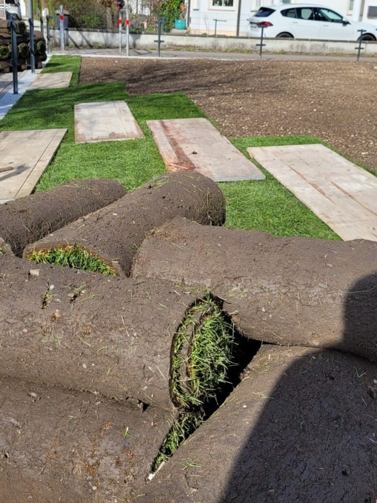 Bruckberg Kronthaler Gammelsdorf Galabau Rasen Rollrasen Gartenbau