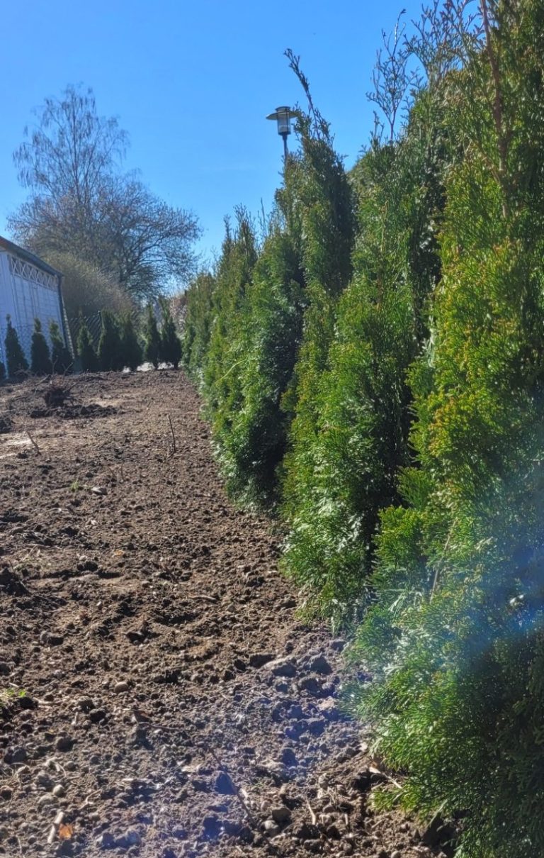 Bruckberg Kronthaler Gammelsdorf Galabau Hecke Heckenschnitt Gartenbau