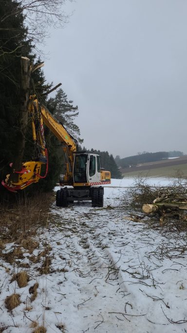 Bruckberg Kronthaler Gammelsdorf Galabau Gartenbau Baumfällung